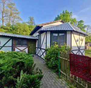 Pokój Afryka-Puszcza kampinoska - Górki