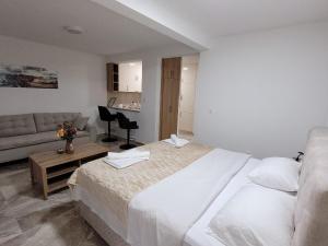 Montenegro Apartments Phoenix With Pool