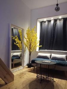 Appartements CHARMANT STUDIO a 2 pas de NAVAL GROUP au coeur d une rue commercante : photos des chambres