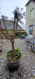 Appartements Logis La P-tite Futee : photos des chambres