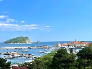 Superior Suite with Sea View room in Blue Marlin