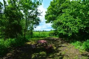 Rectory Retreat - Halvergate