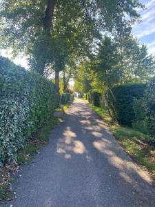 Maisons de vacances A CASA DI SPIAGGIA : photos des chambres