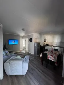 Protea Blossoms - Brackenfell