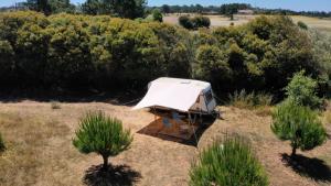 Cosy nest in animal rescue Monte dos Vagabundos