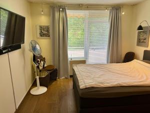 Bonn: Rhein und Zentrum vor der Türe