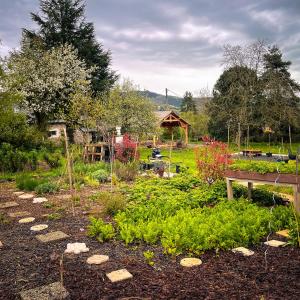 Complexes hoteliers Silent Valley Bed & Breakfast : photos des chambres