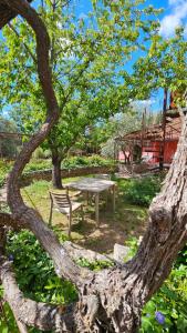 B&B / Chambres d'hotes La Medievale du Luberon : photos des chambres