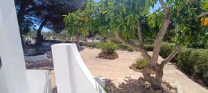 Quinta do Lagar - 10