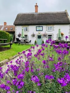 金斯洞旅馆 - Babcary