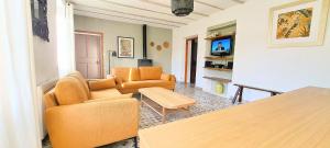 Maisons de vacances Le Mas des Fontettes, gite 14 personnes, piscine chauffee, propriete 5ha, barbecue : photos des chambres