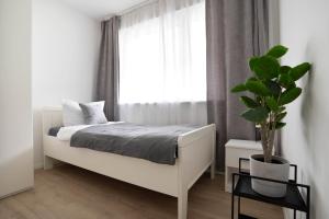 Apartments in the city center I private parking I home2share