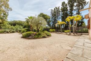 Villa Girasole - Calice Apartment img39