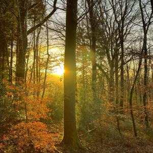 Complexes hoteliers Silent Valley Bed & Breakfast : photos des chambres