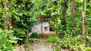 El Yunque Glamping River View at Casa Parcha