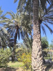 Playa, piscina, terraza, parking