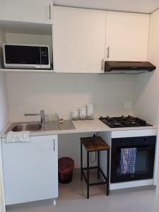 Umhlanga the Coconut at the Millenial