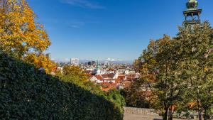 Castle Vista Getaway, Free Parking