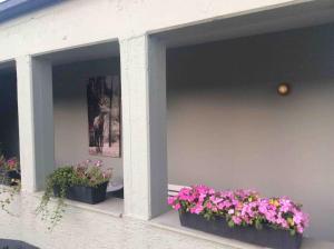 Etzauer Mühle im Taunus, Mensch-Zeit-Pferd