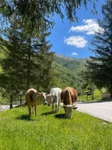 HOTEL CAMPO STELLA - Terminillo