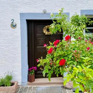 Bauernhaus Vulkaneifel - 曼德沙伊德