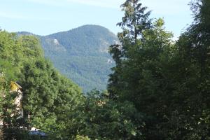 Maisons de vacances Gite Puivertain : photos des chambres