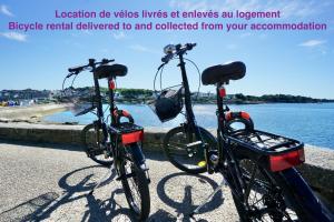 Ollie Blue-50m de la plage