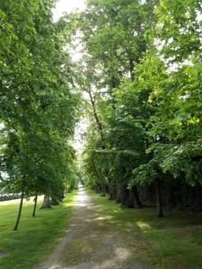 CONFORTABLE T3 sur BALCON à 5 MN du Centre Ville