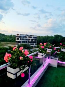 Penthouse View Aeroport Iasi