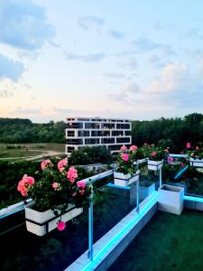 Penthouse View Aeroport Iasi