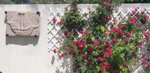 Appartements Kleines Ferienhaus am Meer : photos des chambres