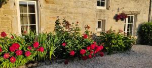Le Clos du Puits