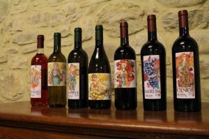 Fattoria di Pieve Pagliaccia - Cantina Brugnoni