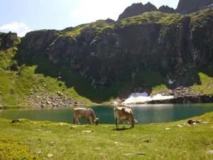 Apartment Strecce 2 by Interhome - Comologno