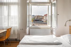 Drunken Monkey Hostel