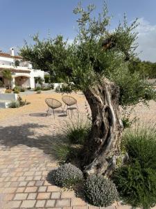 KAUKABA-Apartamentos Rurales- Adults Only