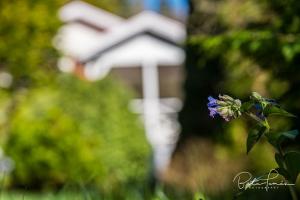 Vidám Mókus Vendégház