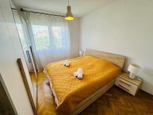 Apartman Noor 