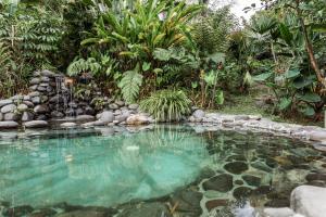 Cabañas en la montaña Viga Vieja