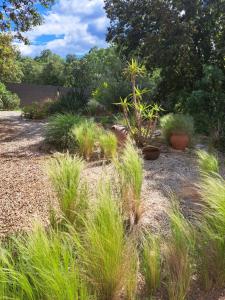 B&B / Chambres d'hotes Le calme de la garrigue : photos des chambres