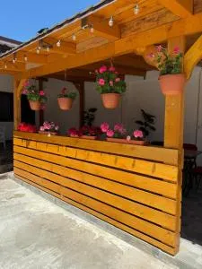 Casa Selina - Tashaul