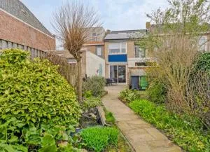 Favorito - 泽伊德赞德