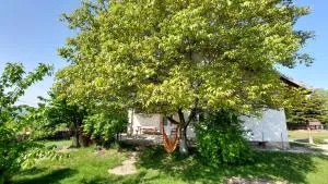 Casia House - Valea Lupului