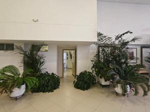 Duplex de Lujo nuevo con vista increible al centro y la playa