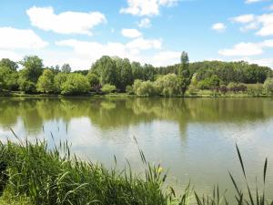 Maisons de vacances Holiday Home Le Champ du Lac by Interhome : photos des chambres