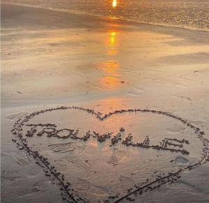 Appartements La Fregate -studio lumineux et verdoyant : photos des chambres