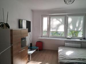 Krakow Apart Olsza