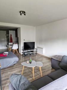 Joli studio une pièce 15min à pied centre dEpinal 4 personnes grâce au canapé lit, parking privé gratuit et parking extérieur gratuit Machine à laver TV wifi machine à café linge de lit et serviettes fournis