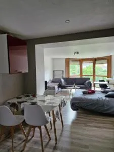 Joli studio une pièce 15min à pied centre dEpinal 4 personnes grâce au canapé lit, parking privé gratuit et parking extérieur gratuit Machine à laver TV wifi machine à café linge de lit et serviettes fournis - Sanchey