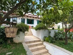 Perivolakia Garden View - Pikérmion